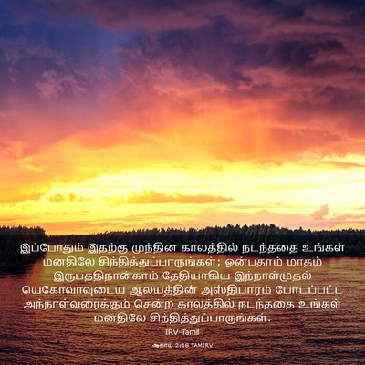 Picture 03 - ஆகாய் 2:18 TAMIRV - இப்போதும் இதற்கு - Bible Verse Picture