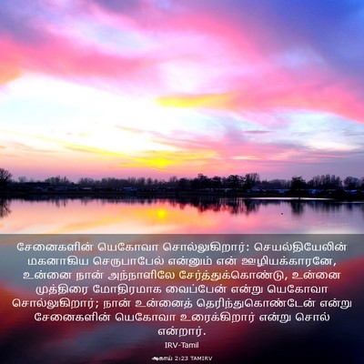 Picture 03 - ஆகாய் 2:23 TAMIRV - சேனைகளின் யெகோவா - Bible Verse Picture
