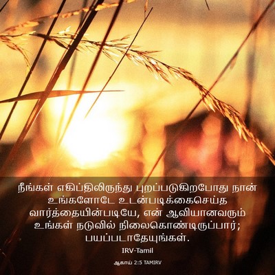 Picture 03 - ஆகாய் 2:5 TAMIRV - நீங்கள் - Bible Verse Picture