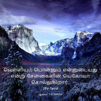 Picture 03 - ஆகாய் 2:8 TAMIRV - வெள்ளியும் - Bible Verse Picture