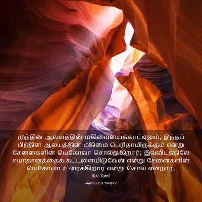 Picture 03 - ஆகாய் 2:9 TAMIRV - முந்தின ஆலயத்தின் - Bible Verse Picture