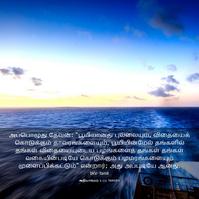 Picture 03 - ஆதியாகமம் 1:11 TAMIRV - அப்பொழுது தேவன்: - Bible Verse Picture