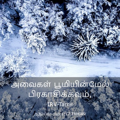 Picture 03 - ஆதியாகமம் 1:17 TAMIRV - அவைகள் - Bible Verse Picture