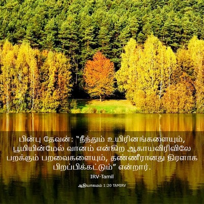 Picture 03 - ஆதியாகமம் 1:20 TAMIRV - பின்பு தேவன்: - Bible Verse Picture