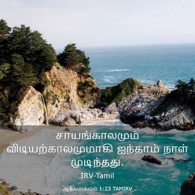 Picture 03 - ஆதியாகமம் 1:23 TAMIRV - சாயங்காலமும் - Bible Verse Picture