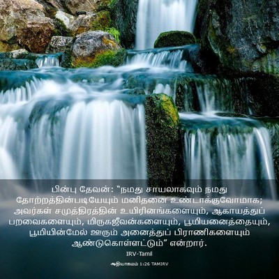 Picture 03 - ஆதியாகமம் 1:26 TAMIRV - பின்பு தேவன்: - Bible Verse Picture