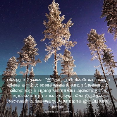 Picture 03 - ஆதியாகமம் 1:29 TAMIRV - பின்னும் தேவன்: - Bible Verse Picture