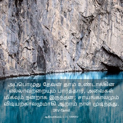 Picture 03 - ஆதியாகமம் 1:31 TAMIRV - அப்பொழுது தேவன் - Bible Verse Picture