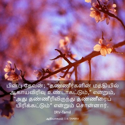 Picture 03 - ஆதியாகமம் 1:6 TAMIRV - பின்பு தேவன்; - Bible Verse Picture