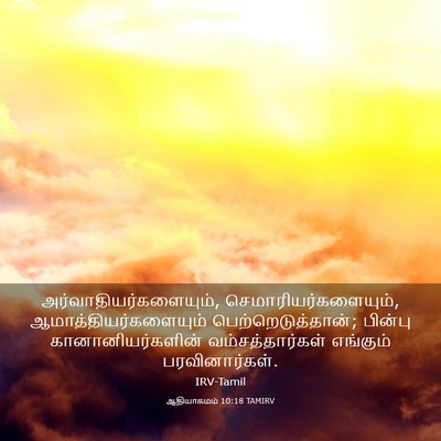 Picture 03 - ஆதியாகமம் 10:18 TAMIRV -  - Bible Verse Picture