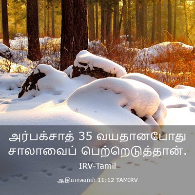 Picture 03 - ஆதியாகமம் 11:12 TAMIRV - அர்பக்சாத் 35 - Bible Verse Picture