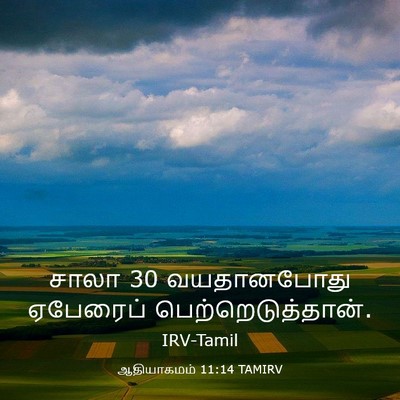 Picture 03 - ஆதியாகமம் 11:14 TAMIRV - சாலா 30 வயதானபோது - Bible Verse Picture