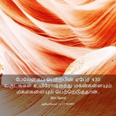 Picture 03 - ஆதியாகமம் 11:17 TAMIRV - பேலேகைப் - Bible Verse Picture