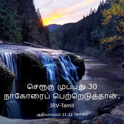 Picture 03 - ஆதியாகமம் 11:22 TAMIRV - செரூகு முப்பது 30 - Bible Verse Picture