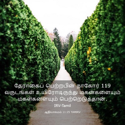 Picture 03 - ஆதியாகமம் 11:25 TAMIRV - தேராகைப் - Bible Verse Picture