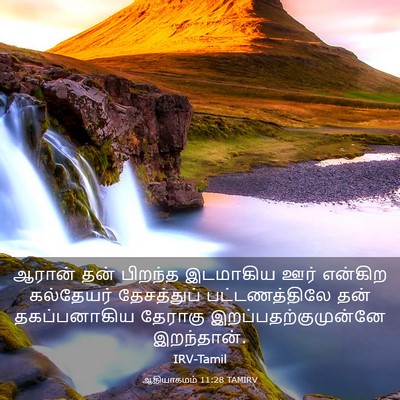 Picture 03 - ஆதியாகமம் 11:28 TAMIRV - ஆரான் தன் பிறந்த - Bible Verse Picture