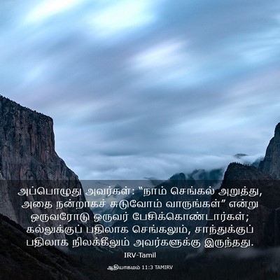 Picture 03 - ஆதியாகமம் 11:3 TAMIRV - அப்பொழுது - Bible Verse Picture