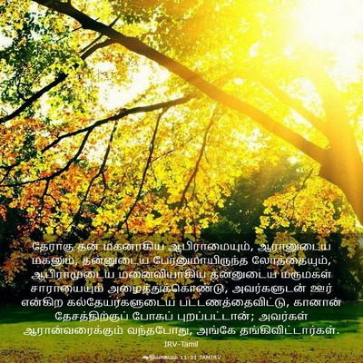 Picture 03 - ஆதியாகமம் 11:31 TAMIRV - தேராகு தன் - Bible Verse Picture