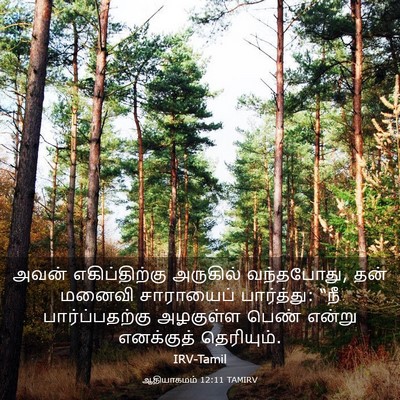 Picture 03 - ஆதியாகமம் 12:11 TAMIRV - அவன் எகிப்திற்கு - Bible Verse Picture