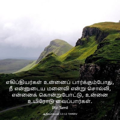 Picture 03 - ஆதியாகமம் 12:12 TAMIRV - எகிப்தியர்கள் - Bible Verse Picture