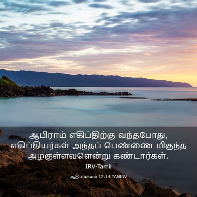 Picture 03 - ஆதியாகமம் 12:14 TAMIRV - ஆபிராம் - Bible Verse Picture