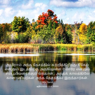 Picture 03 - ஆதியாகமம் 12:6 TAMIRV - ஆபிராம் அந்த - Bible Verse Picture