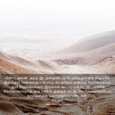 Picture 03 - ஆதியாகமம் 12:8 TAMIRV - பின்பு அவன் அந்த - Bible Verse Picture