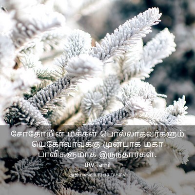 Picture 03 - ஆதியாகமம் 13:13 TAMIRV - சோதோமின் மக்கள் - Bible Verse Picture