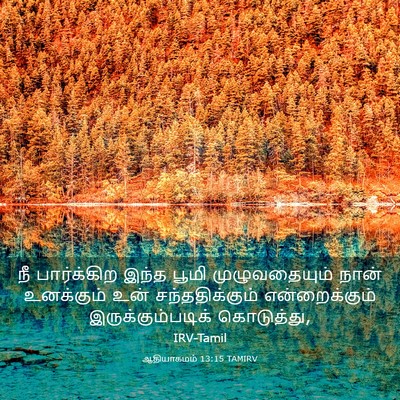 Picture 03 - ஆதியாகமம் 13:15 TAMIRV - நீ பார்க்கிற இந்த - Bible Verse Picture
