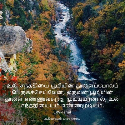 Picture 03 - ஆதியாகமம் 13:16 TAMIRV - உன் சந்ததியை - Bible Verse Picture