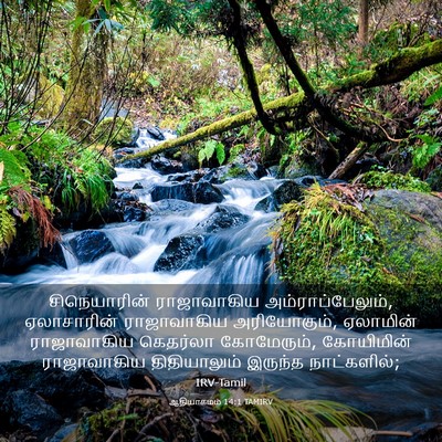 Picture 03 - ஆதியாகமம் 14:1 TAMIRV - சிநெயாரின் - Bible Verse Picture