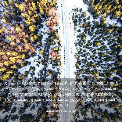Picture 03 - ஆதியாகமம் 14:10 TAMIRV - அந்த சித்தீம் - Bible Verse Picture