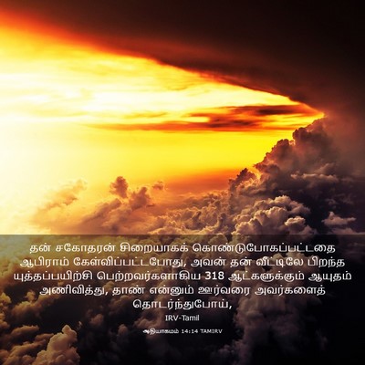 Picture 03 - ஆதியாகமம் 14:14 TAMIRV - தன் சகோதரன் - Bible Verse Picture