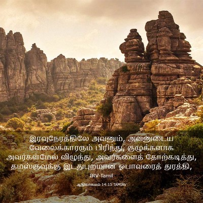Picture 03 - ஆதியாகமம் 14:15 TAMIRV - இரவுநேரத்திலே - Bible Verse Picture