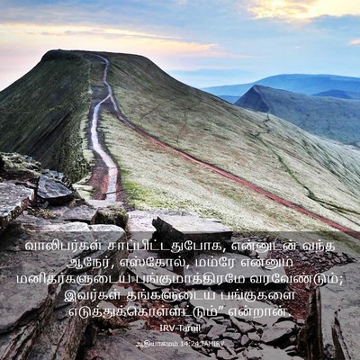Picture 03 - ஆதியாகமம் 14:24 TAMIRV - வாலிபர்கள் - Bible Verse Picture
