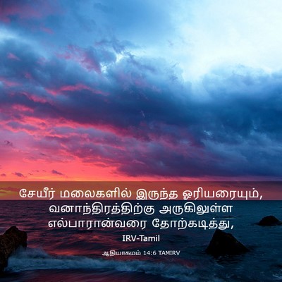 Picture 03 - ஆதியாகமம் 14:6 TAMIRV - சேயீர் மலைகளில் - Bible Verse Picture