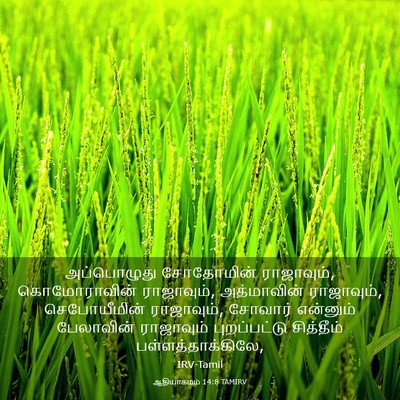 Picture 03 - ஆதியாகமம் 14:8 TAMIRV - அப்பொழுது - Bible Verse Picture