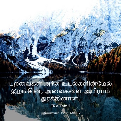 Picture 03 - ஆதியாகமம் 15:11 TAMIRV - பறவைகள் அந்த - Bible Verse Picture