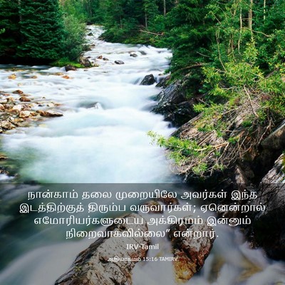 Picture 03 - ஆதியாகமம் 15:16 TAMIRV - நான்காம் தலை - Bible Verse Picture