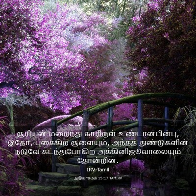 Picture 03 - ஆதியாகமம் 15:17 TAMIRV - சூரியன் மறைந்து - Bible Verse Picture