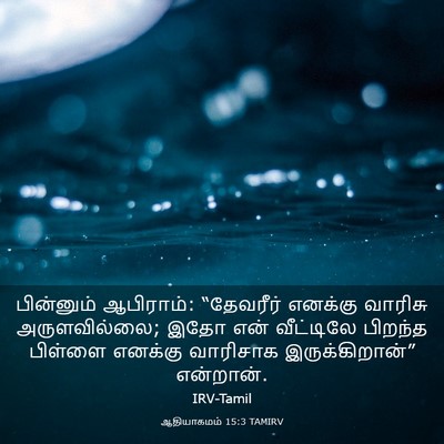 Picture 03 - ஆதியாகமம் 15:3 TAMIRV - பின்னும் ஆபிராம்: - Bible Verse Picture