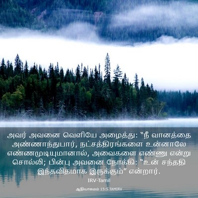 Picture 03 - ஆதியாகமம் 15:5 TAMIRV - அவர் அவனை வெளியே - Bible Verse Picture