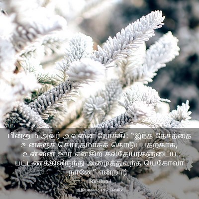Picture 03 - ஆதியாகமம் 15:7 TAMIRV - பின்னும் அவர் - Bible Verse Picture