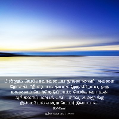 Picture 03 - ஆதியாகமம் 16:11 TAMIRV - பின்னும் - Bible Verse Picture