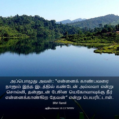 Picture 03 - ஆதியாகமம் 16:13 TAMIRV - அப்பொழுது அவள்: - Bible Verse Picture