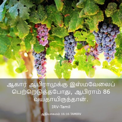 Picture 03 - ஆதியாகமம் 16:16 TAMIRV - ஆகார் ஆபிராமுக்கு - Bible Verse Picture