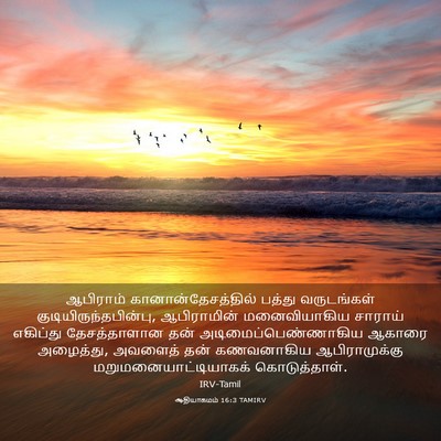 Picture 03 - ஆதியாகமம் 16:3 TAMIRV - ஆபிராம் - Bible Verse Picture