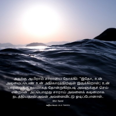 Picture 03 - ஆதியாகமம் 16:6 TAMIRV - அதற்கு ஆபிராம் - Bible Verse Picture
