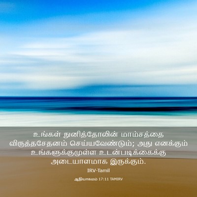 Picture 03 - ஆதியாகமம் 17:11 TAMIRV - உங்கள் - Bible Verse Picture