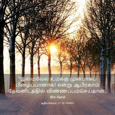 Picture 03 - ஆதியாகமம் 17:18 TAMIRV - “இஸ்மவேல் உமக்கு - Bible Verse Picture